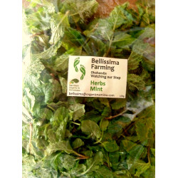Mint, Fresh - 100g