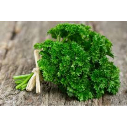 Parsley, Fresh 150g - Curly or Flat leaf